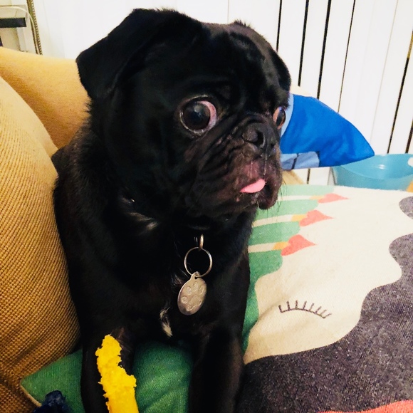 Meet your Posher, Andrew - Picture 1 of 1